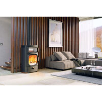 Kaminofen Austroflamm Heidi Back 7 kW inkl. Warmhalteplatte