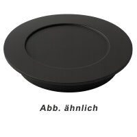 Deckeleinlage Stahl für Rika Kaminöfen...