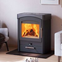 Kaminofen Austroflamm Pallas mit Kochplatten 8,5 kW