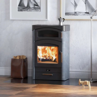 Kaminofen Austroflamm Pallas Back mit Kochplatten 9 kW