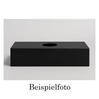 Austroflamm Dexter Aufsatzbox h=19,1 cm Anschluss Links