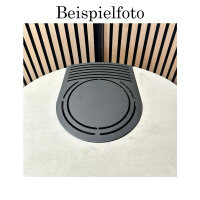 Abdeckplatte Gusseisen (für Abgang hinten)