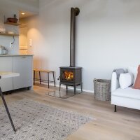 Kaminofen Jøtul F 100 Eco 2 LL Gusseisen 4,9 kW