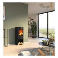 Kaminofen TermaTech TT20 Stahl schwarz 5 kW