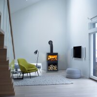 Kaminofen Jøtul F 520 mit 7,0 kW und Seitenscheiben
