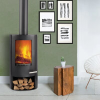 Kaminofen TermaTech TT20Bazic R Stahl schwarz 5 kW