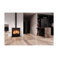 Thermorossi Agora Kaminofen - 12,3 kW Gusseisen Schwarz