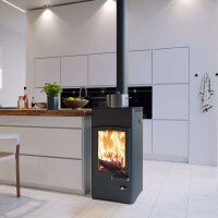 Kaminofen Austroflamm Lucy Cook 6 kW mit Stahlkochplatte
