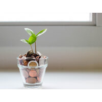 Kaminofen HWAM 3120m mit SmartControl